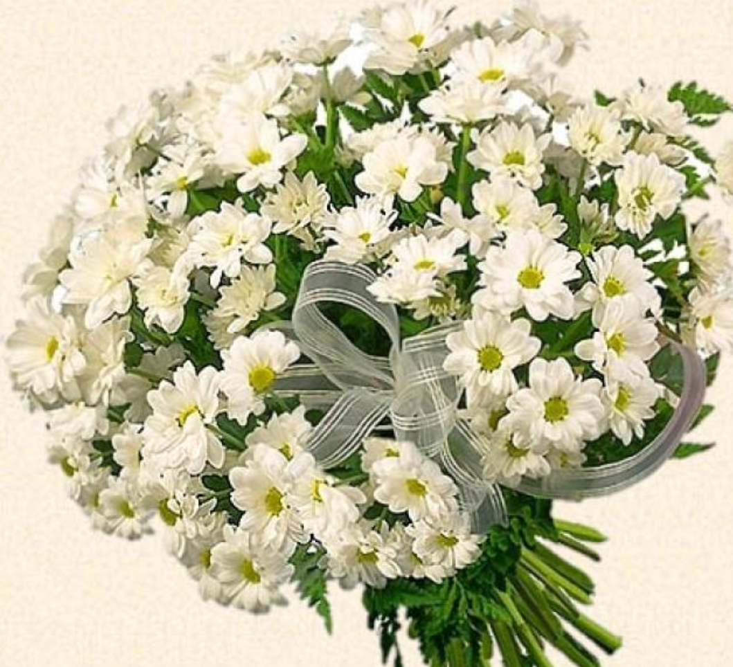 Поздравления С Днем Рождения Женщине Цветы Хризантемы